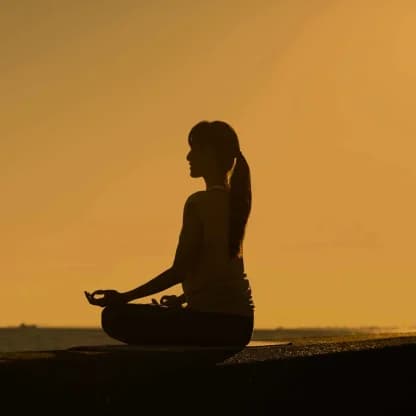 สมาธิบำบัด (Meditative Healing Therapy)