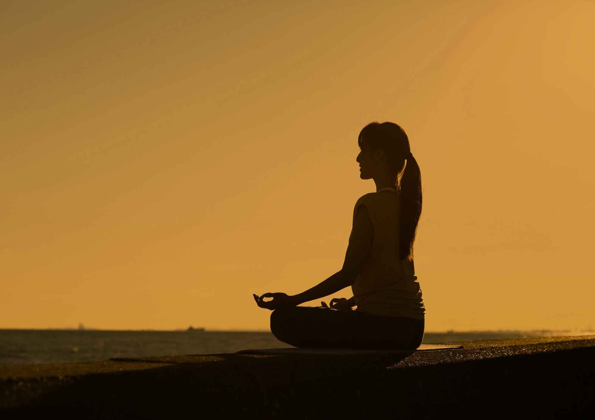 สมาธิบำบัด (Meditative Healing Therapy)